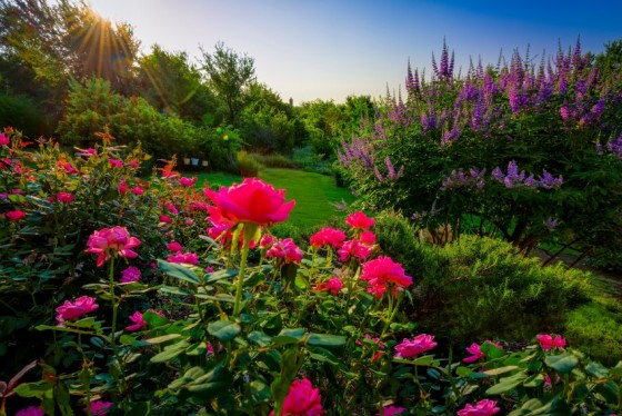 La Bretagne : ses parcs et ses jardins