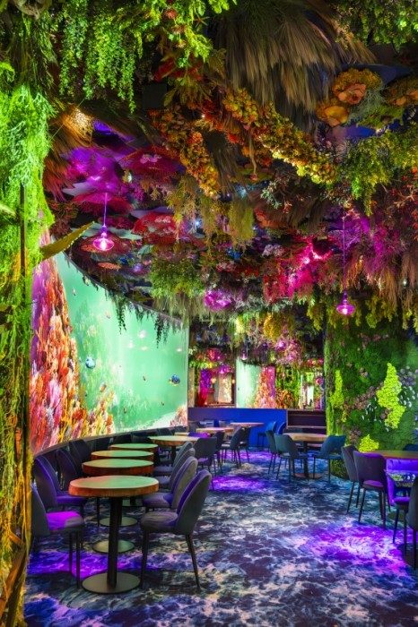 De la mer à la lumière