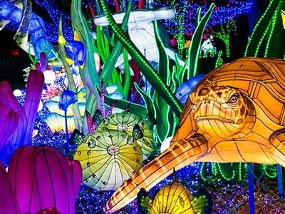 Les lumières sauvages au Zoo de Thoiry