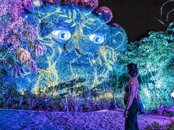 Terra Botanica