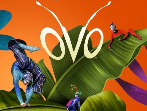 LE CIRQUE DU SOLEIL 